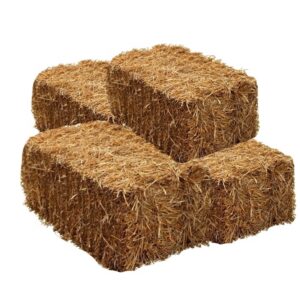 Wheat Straw